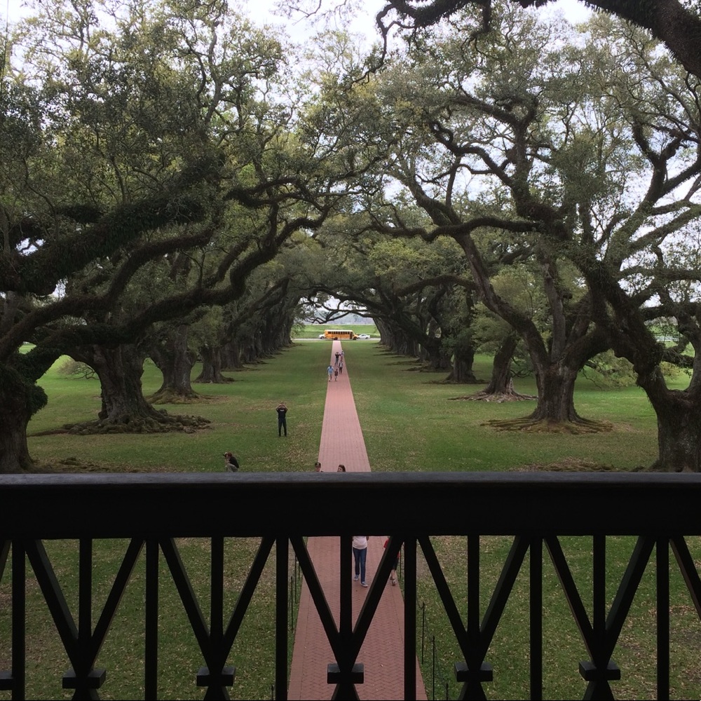 Meet your Posher, Lynn